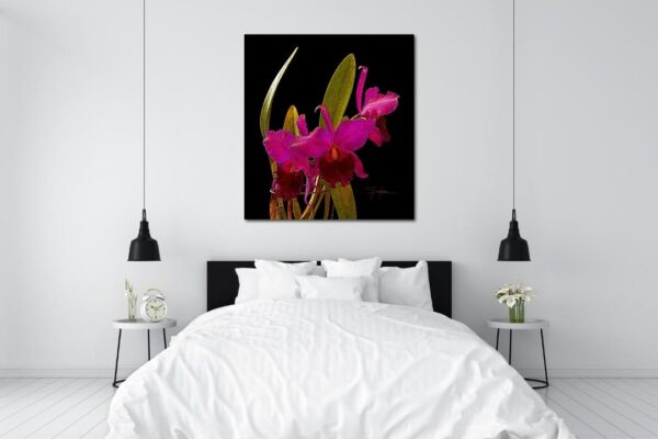 Howard Spielman Fine Art Orchid Bedroom Decor Interior Design Prints Digital Photography Floral Black Pink