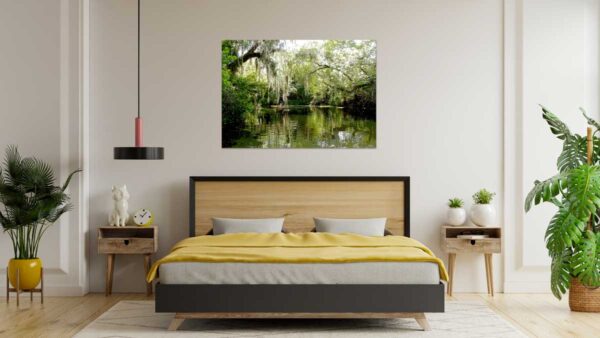 Howard Spielman Fine Art Digital Art Prints Florida Nature Photography Home Decor Interior Design