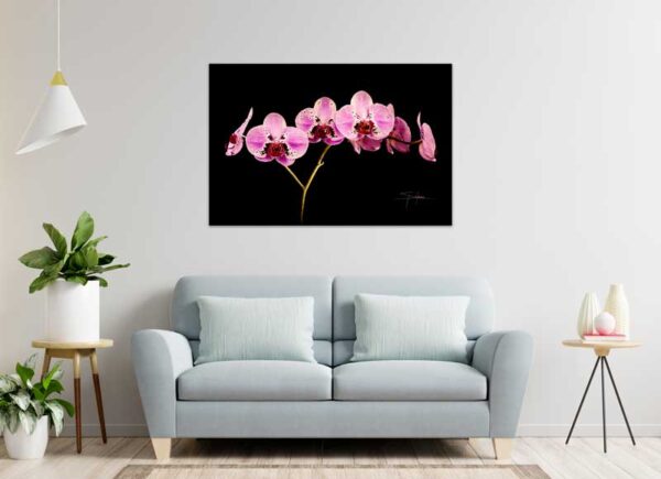 Fine Art by Howard Spielman purple orchid interior design decor home digital canvas watercolor aluminum print