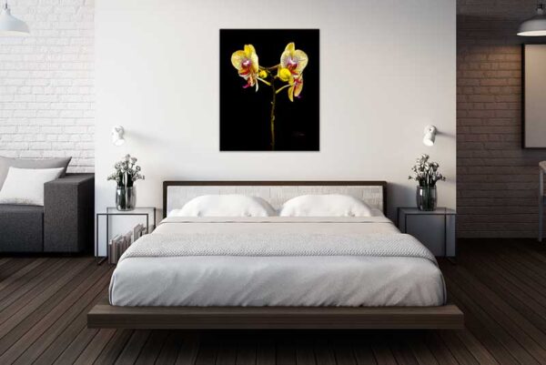 Fine Art by Howard Spielman Yellow orchid interior design digital canvas watercolor aluminum print decor