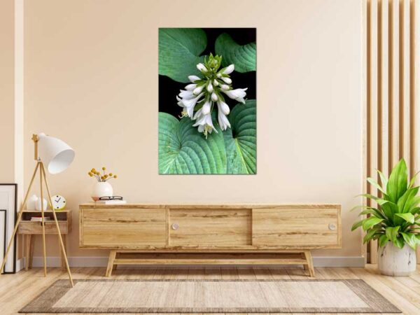 Fine Art by Howard Spielman Digital Art Floral Green white flowers canvas watercolor aluminum interior decor designer